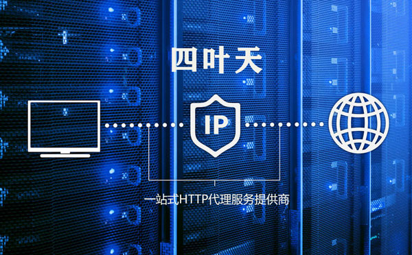 【和田代理IP】代理IP的主要用途和使用注意事项